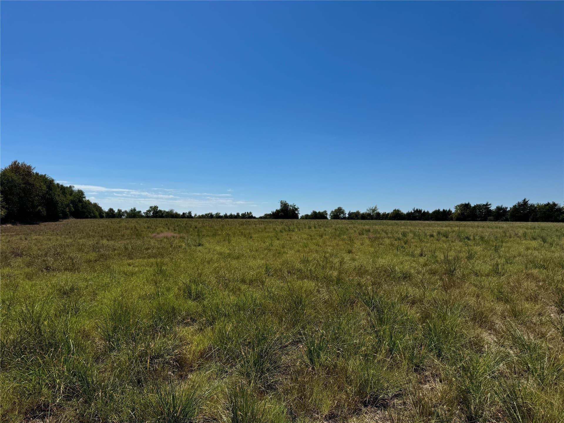 18.02 acres in Lamar County