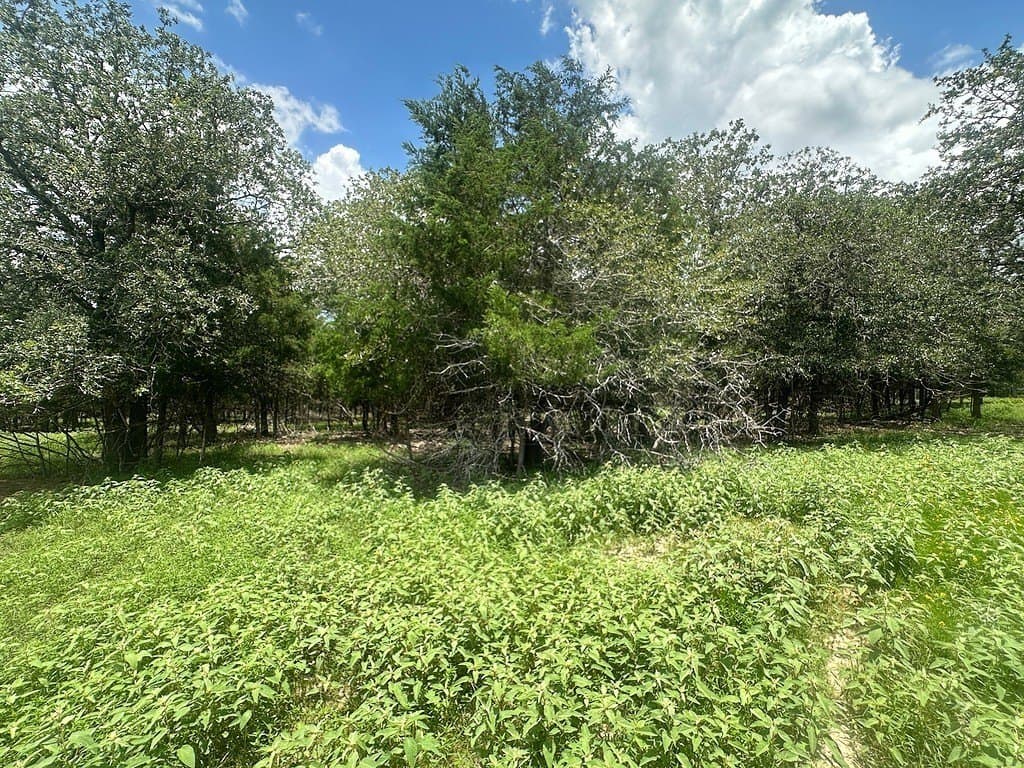 5.5 acres in Fayette County