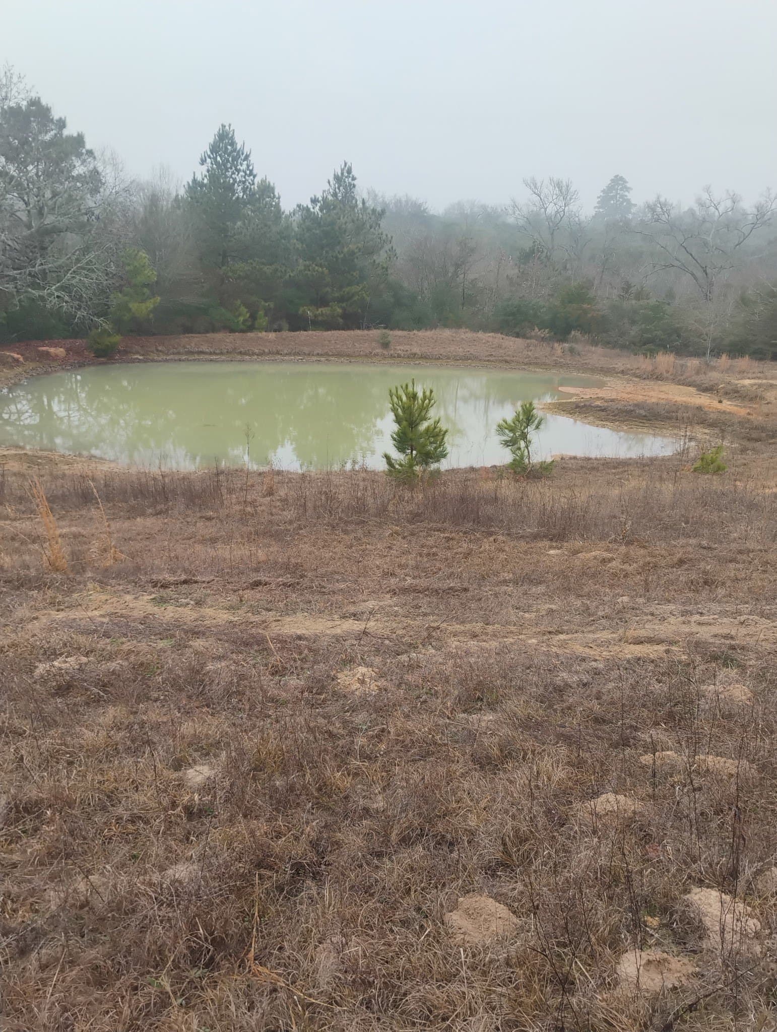 78 acres in Leon County