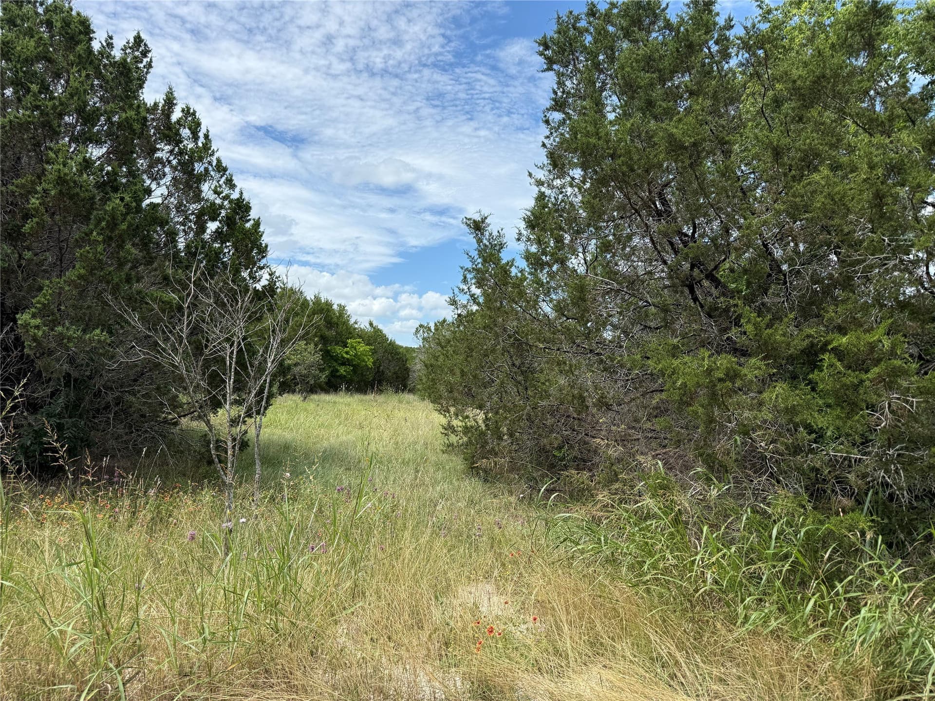6.42 acres in Johnson County