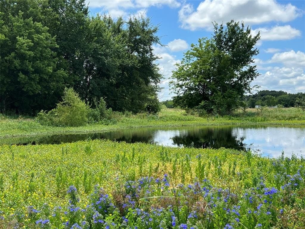 50 acres in Van Zandt County