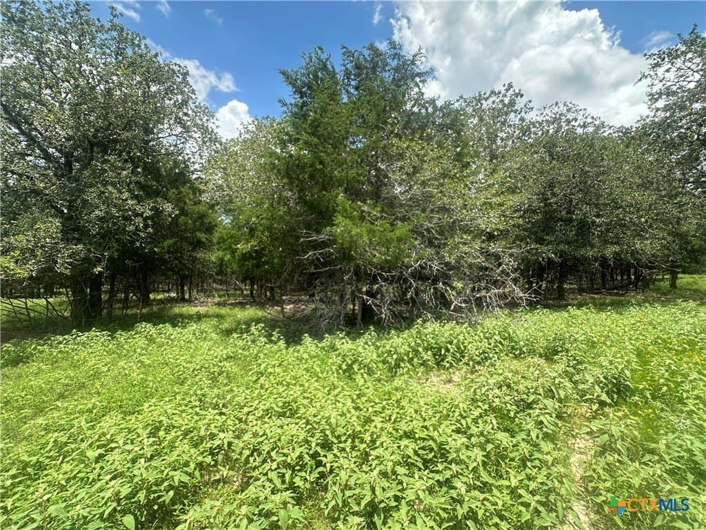 5.5 acres in Fayette County