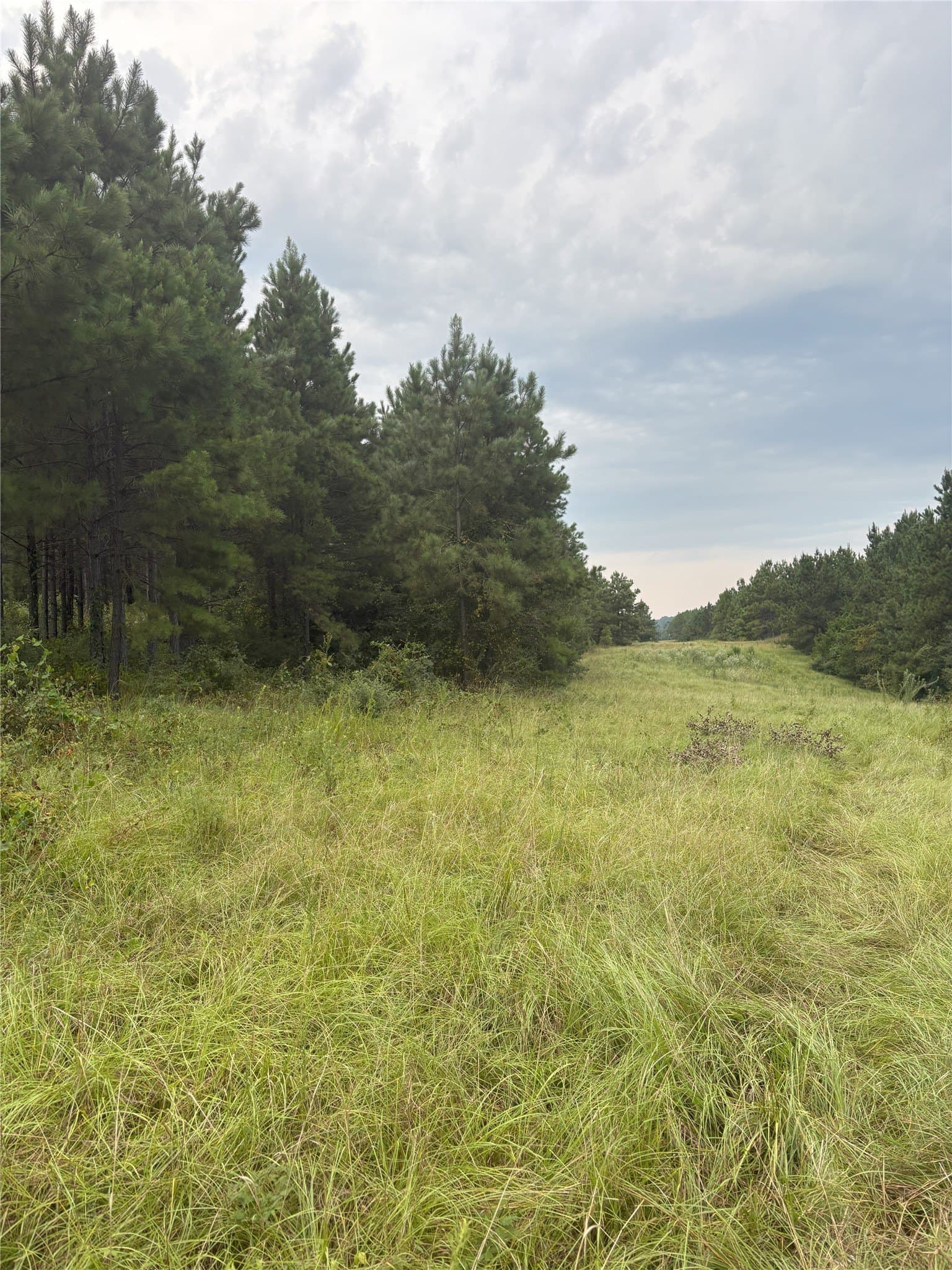 15.29 acres in Shelby County