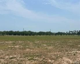 0.22 acres in Hidalgo County
