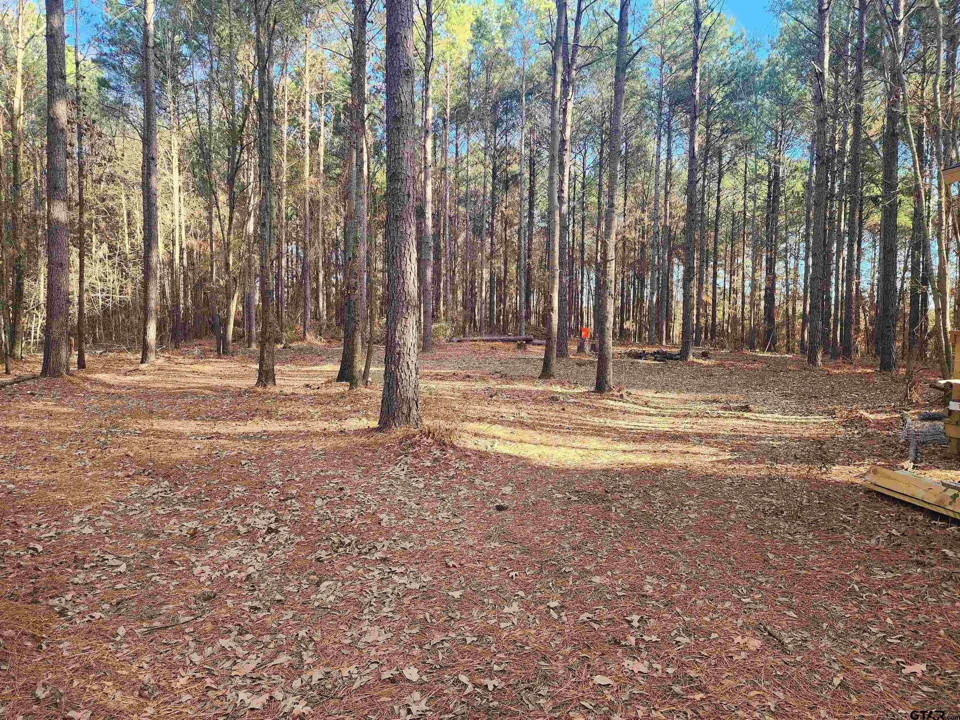 2 acres in Camp County