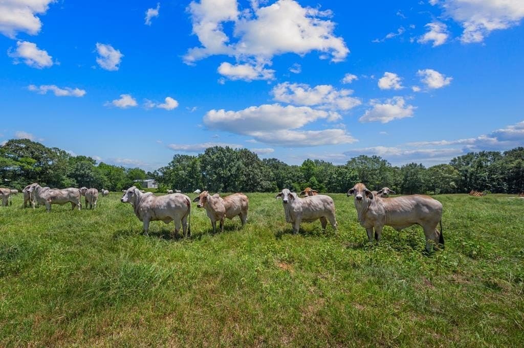 143.38 acres in Texas County