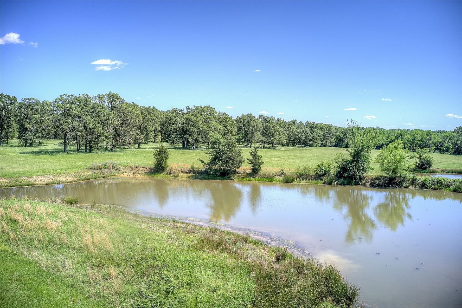 82.1 acres in Hopkins County