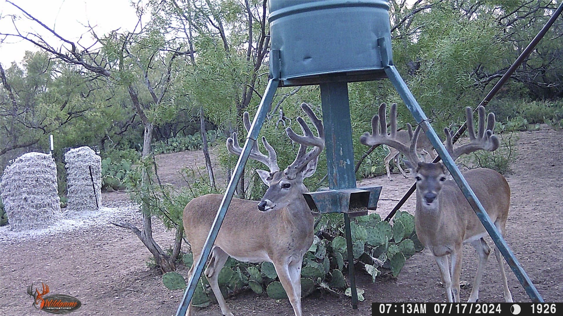 328.54 acres in Runnels County