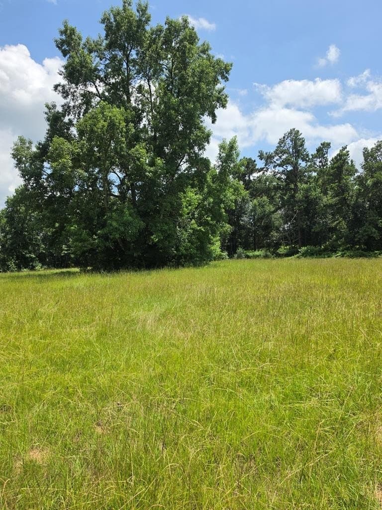 19.75 acres in ANDERSON County