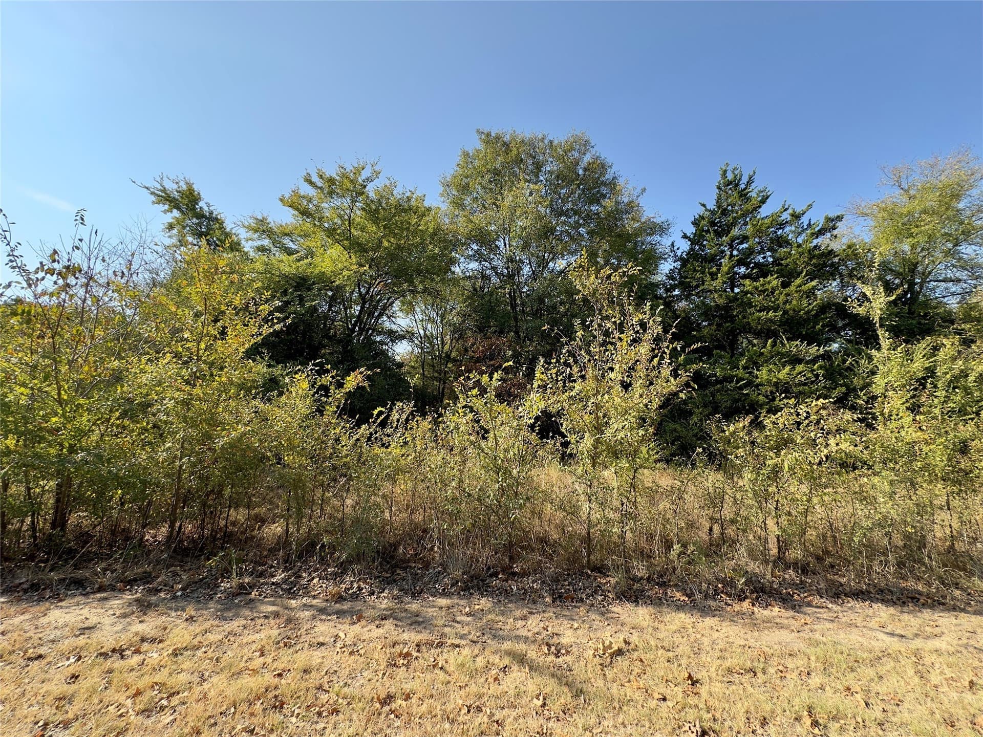 Tanglewood Drive lot: 19