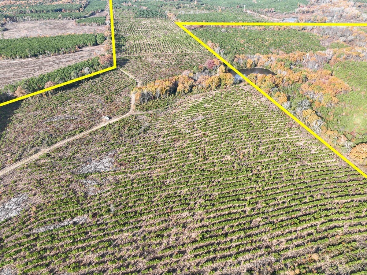 433 acres in Morris County