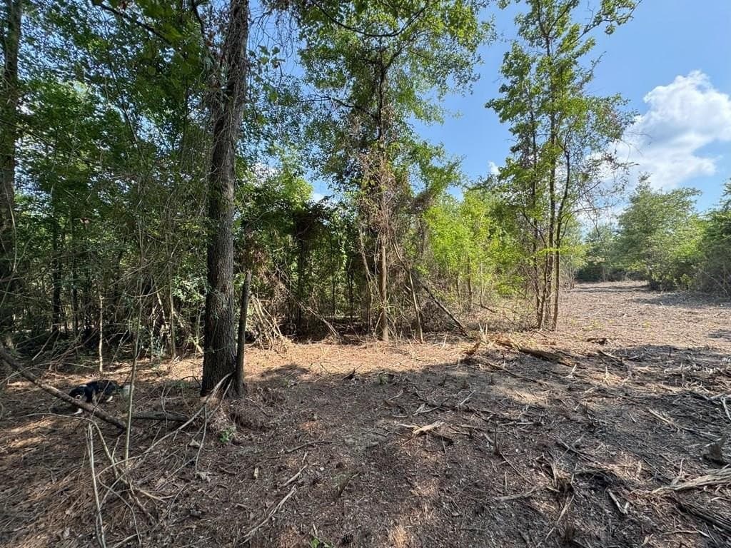 12 acres in Texas County