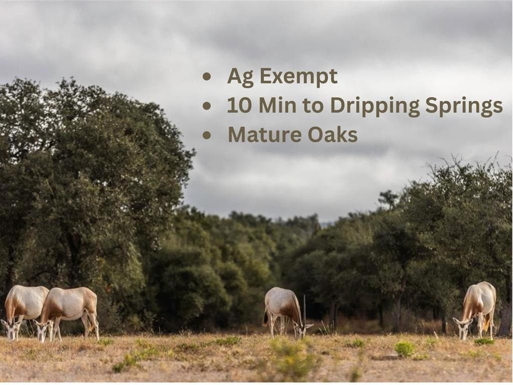 5 acres in Blanco County