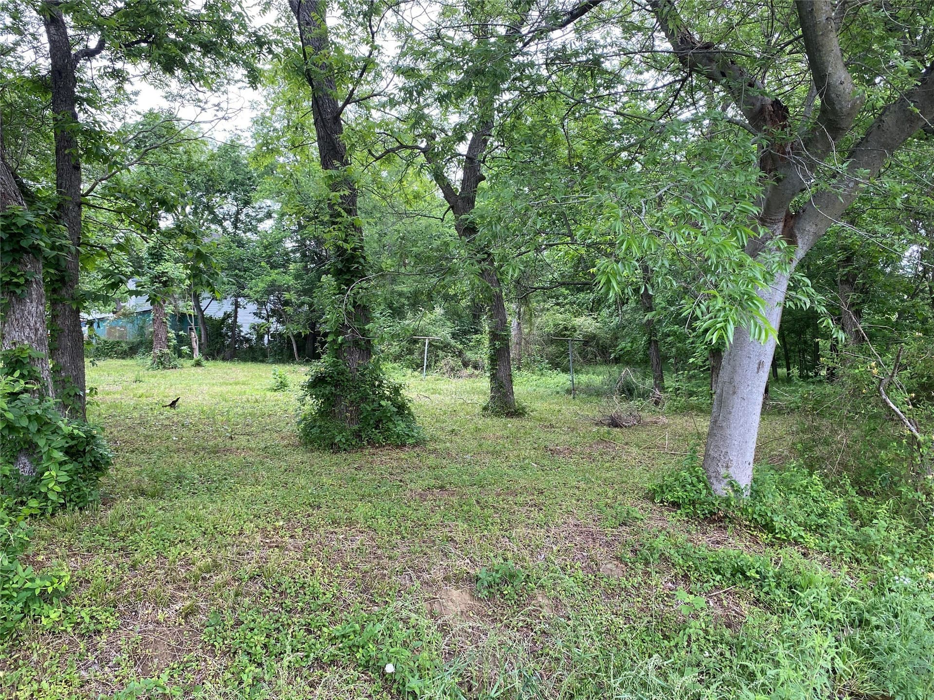 0.23 acres in Fannin County