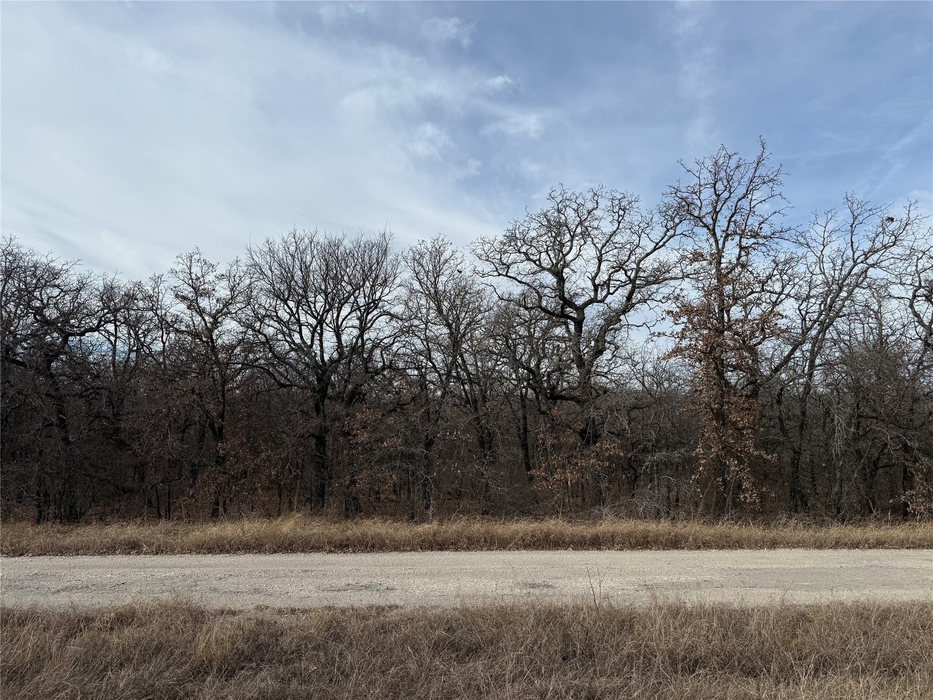 0.25 acres in Wise County