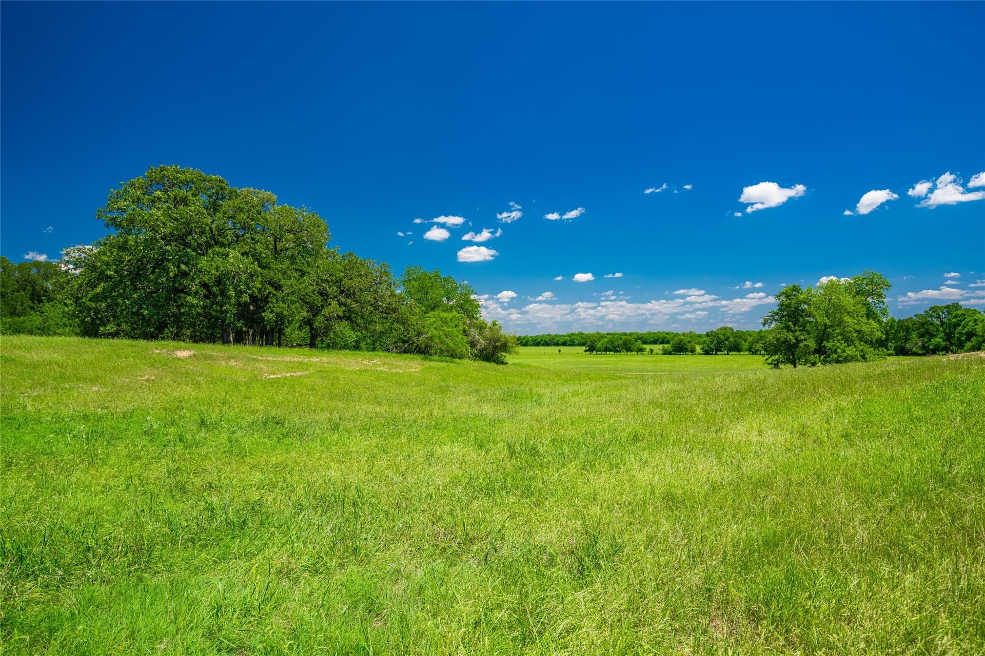 230 acres in Limestone County