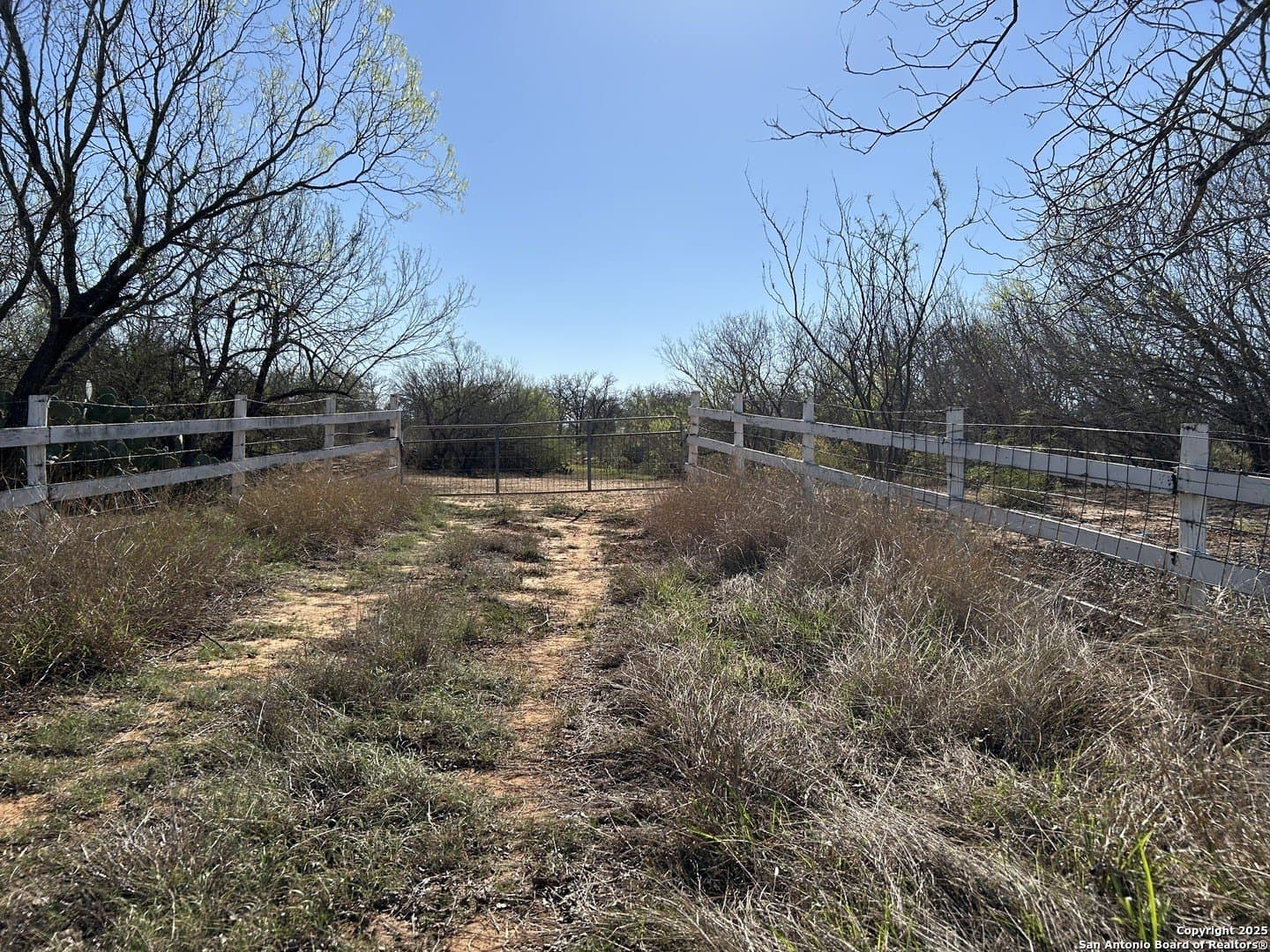 10 acres in Atascosa County