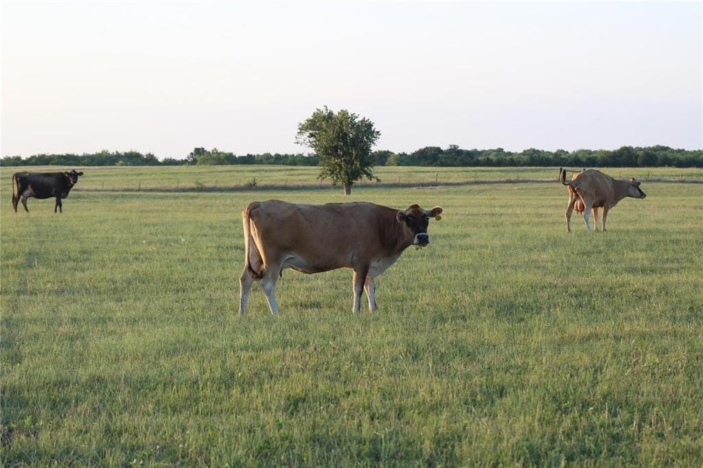 77.02 acres in Hunt County