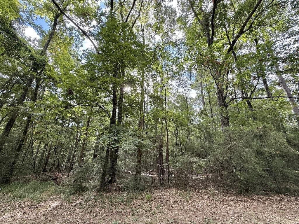 0.25 acres in Texas County