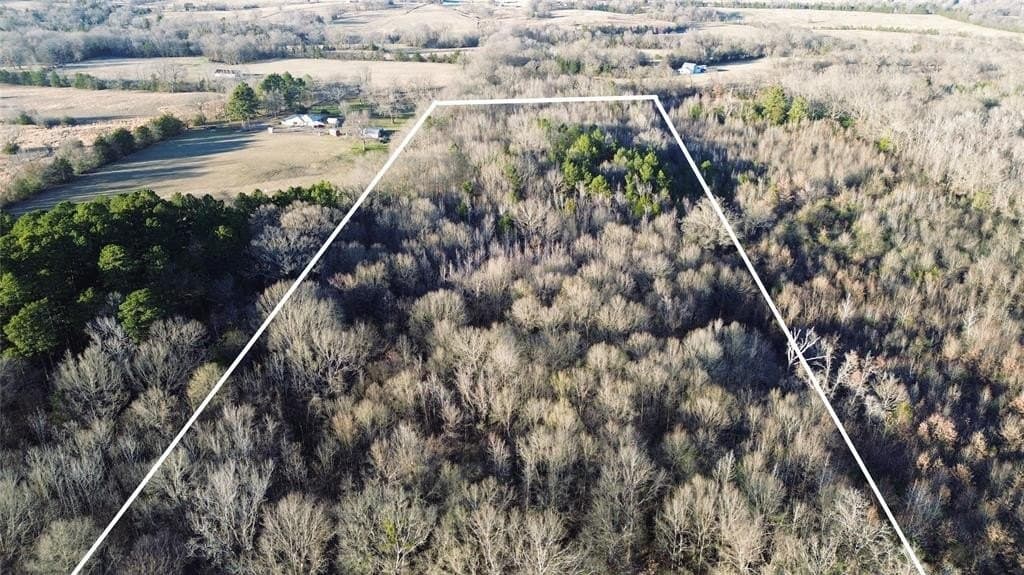 16.45 acres in Titus County