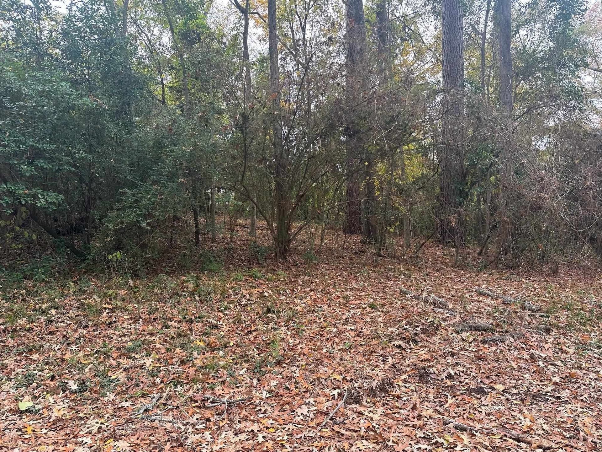 0.38 acres in Gregg County