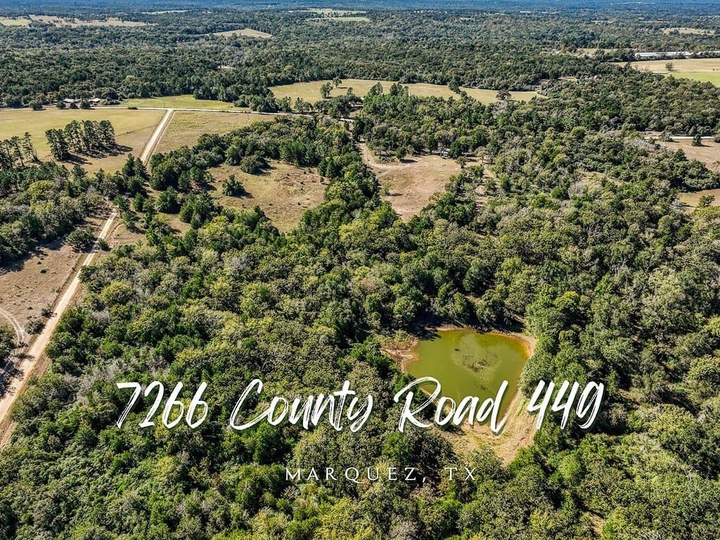 209.99 acres in Leon County