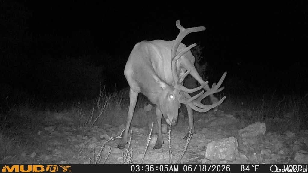 27.66 acres in Edwards County