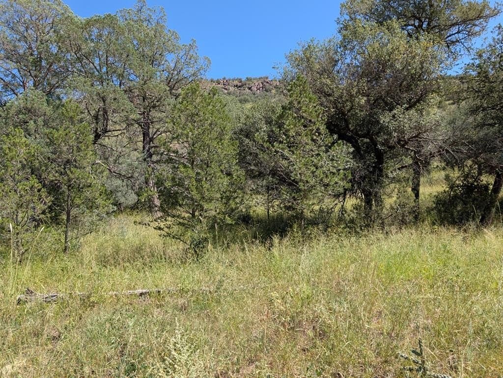 5.19 acres in Jeff Davis County