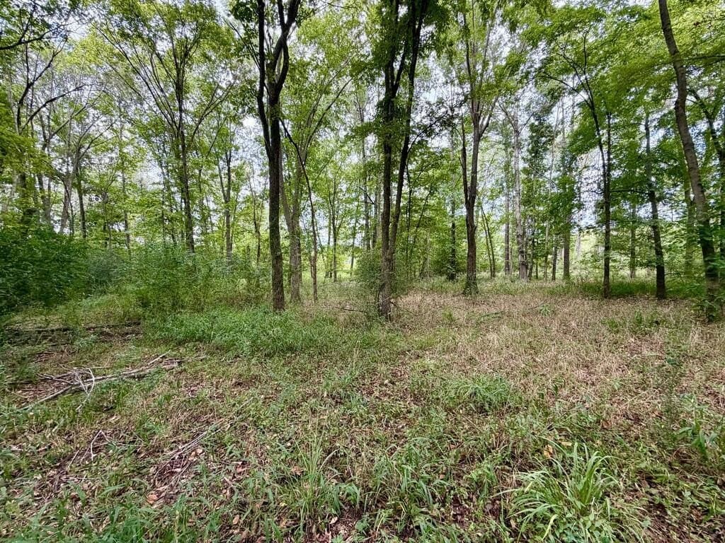 1.76 acres in Henderson County