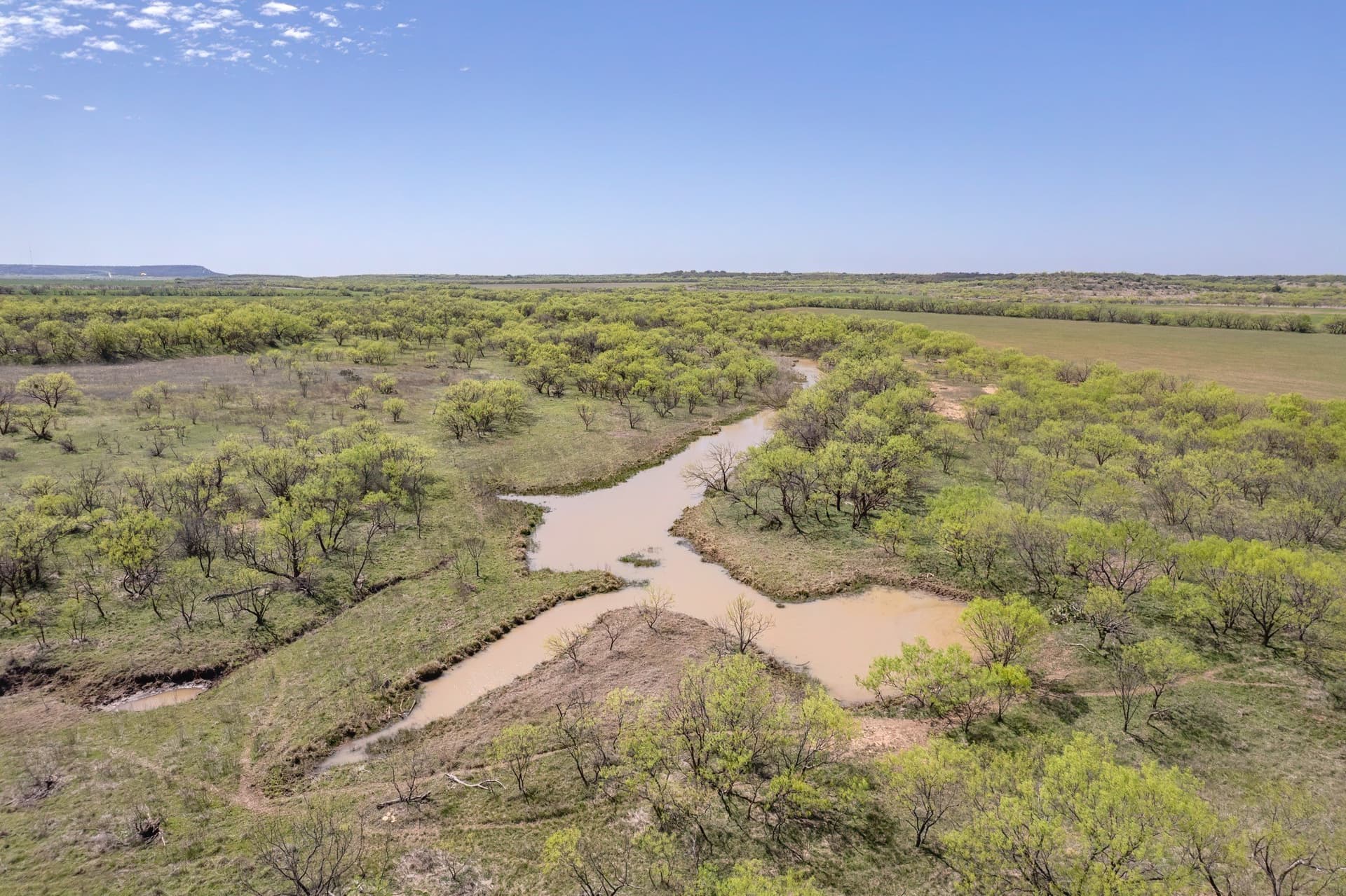 281.7 acres in Coleman County