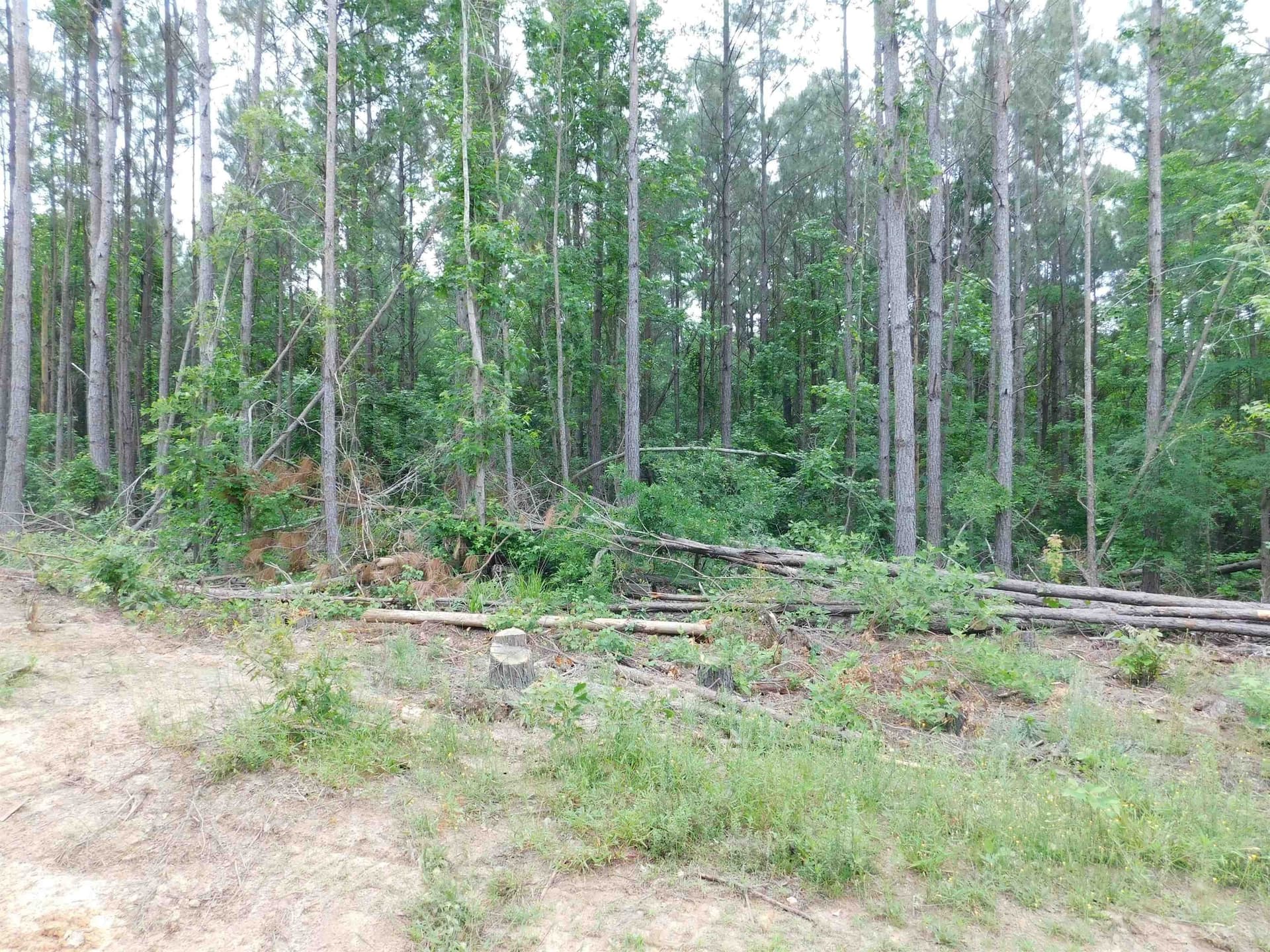 0.71 acres in Texas County