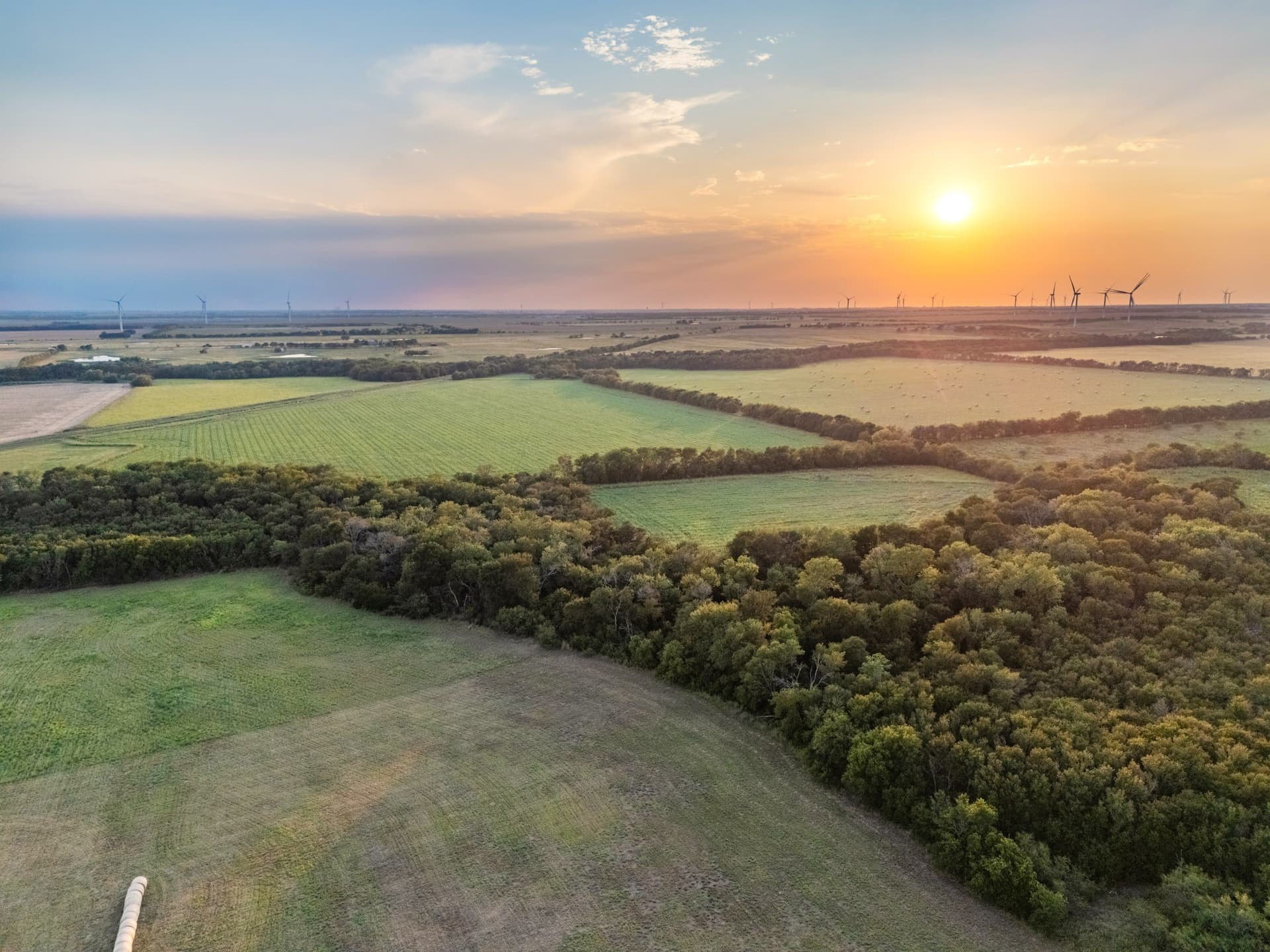 79.09 acres in Limestone County