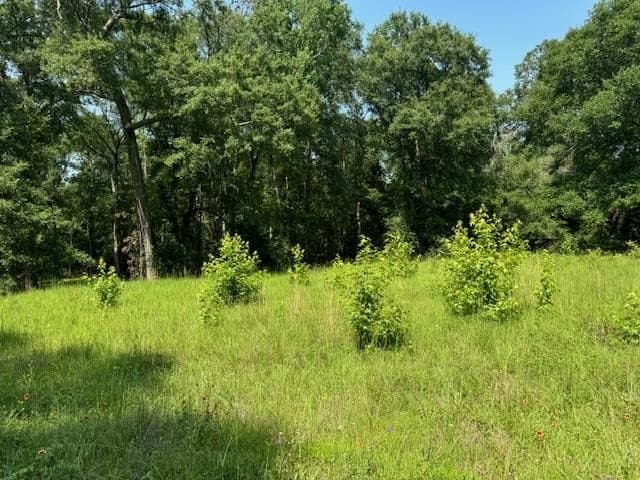 0.53 acres in Texas County