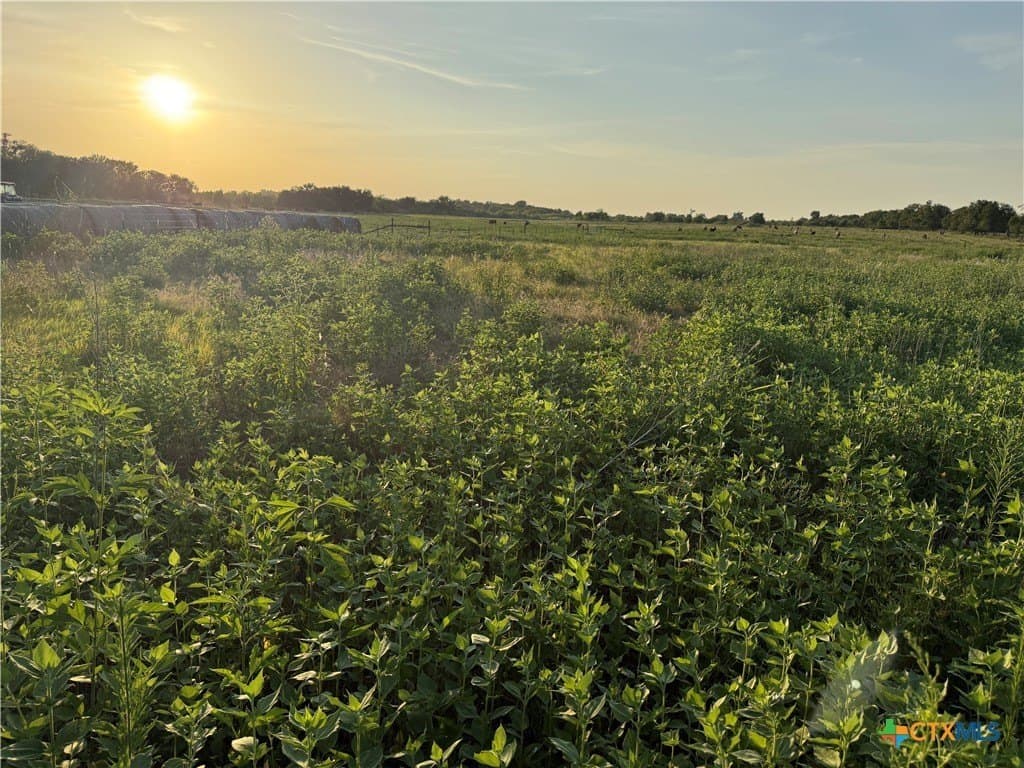 2 acres in Falls County