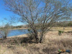 25.7 acres in Karnes County