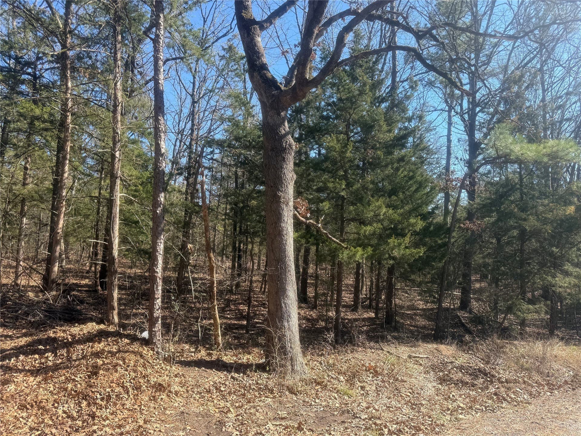2.12 acres in Lamar County
