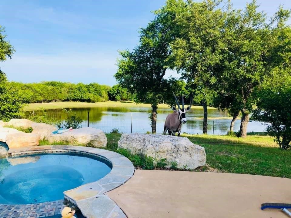 366.47 acres in Burnet County