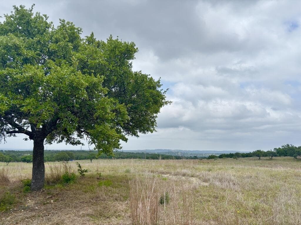 10.01 acres in Gillespie County