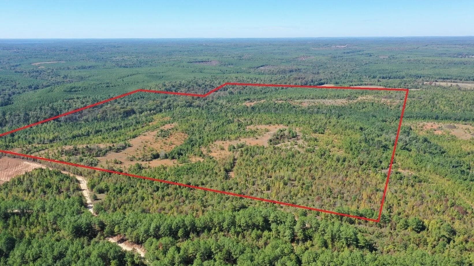 320 acres in Marion County
