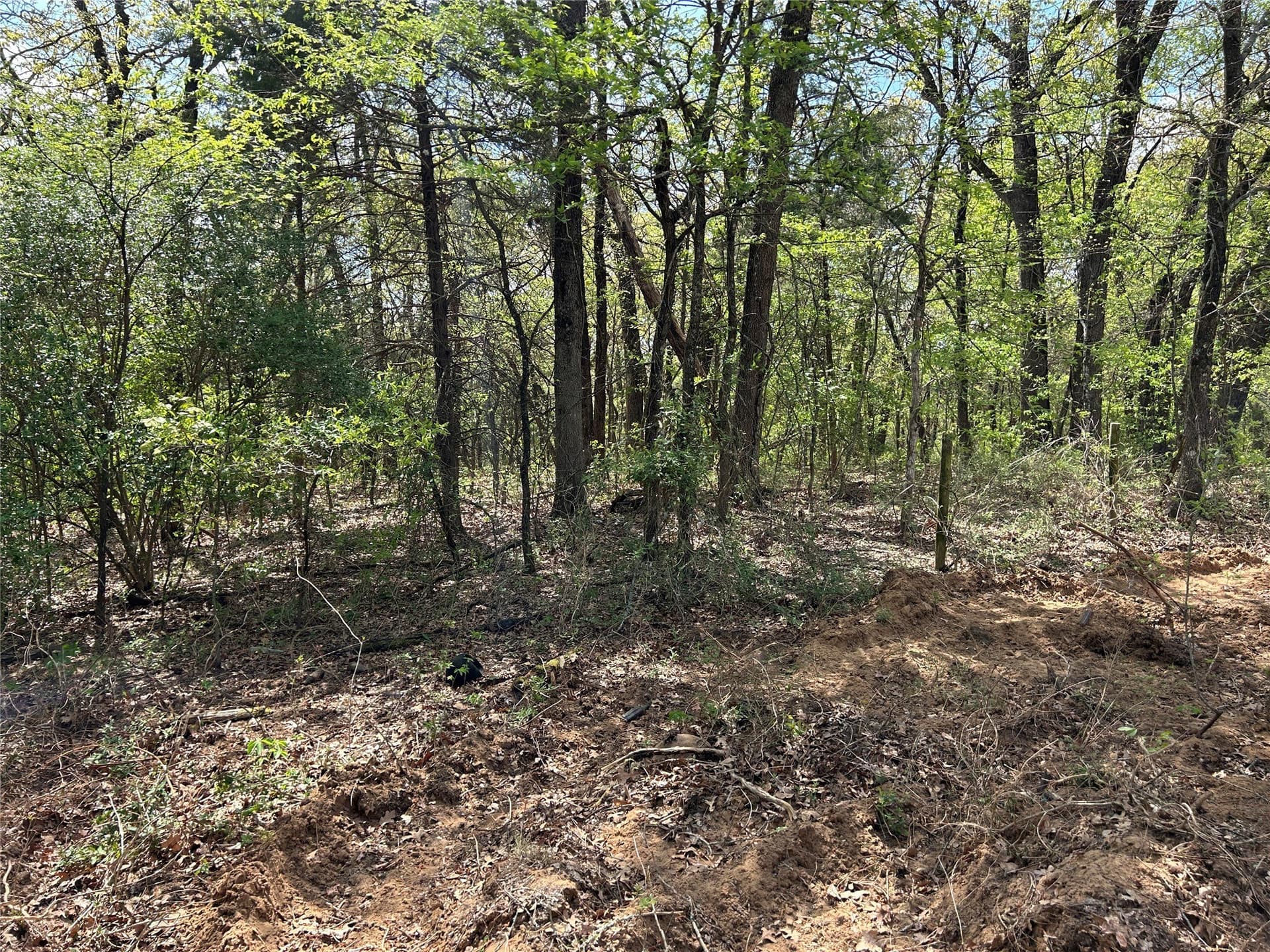 4.02 acres in Grayson County