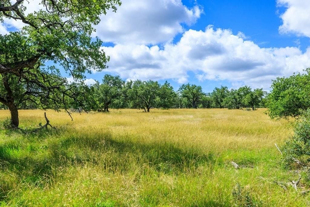 9.31 acres in Gillespie County