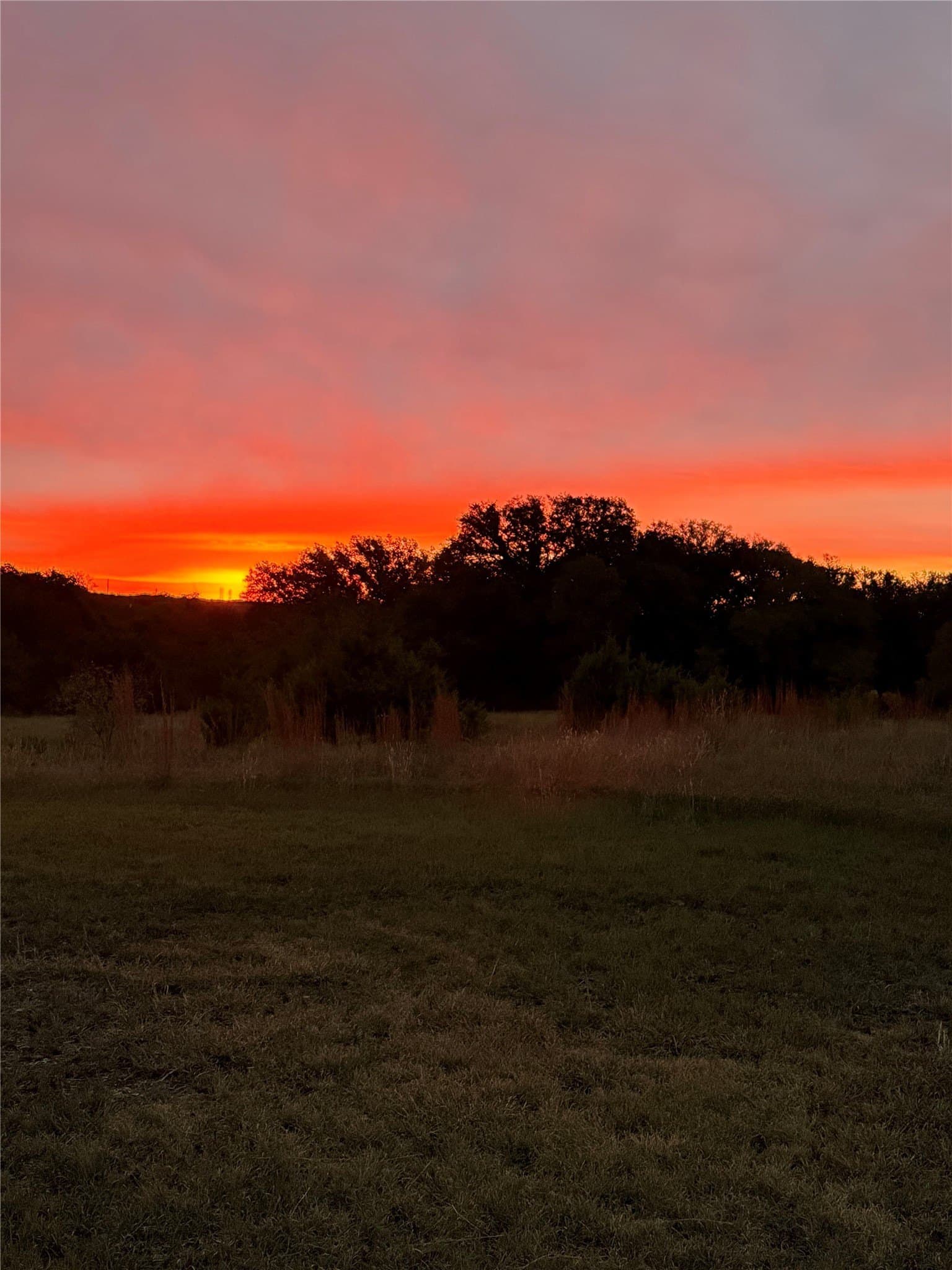 20 acres in Bosque County