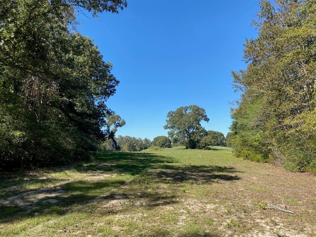 10.6 acres in Leon County