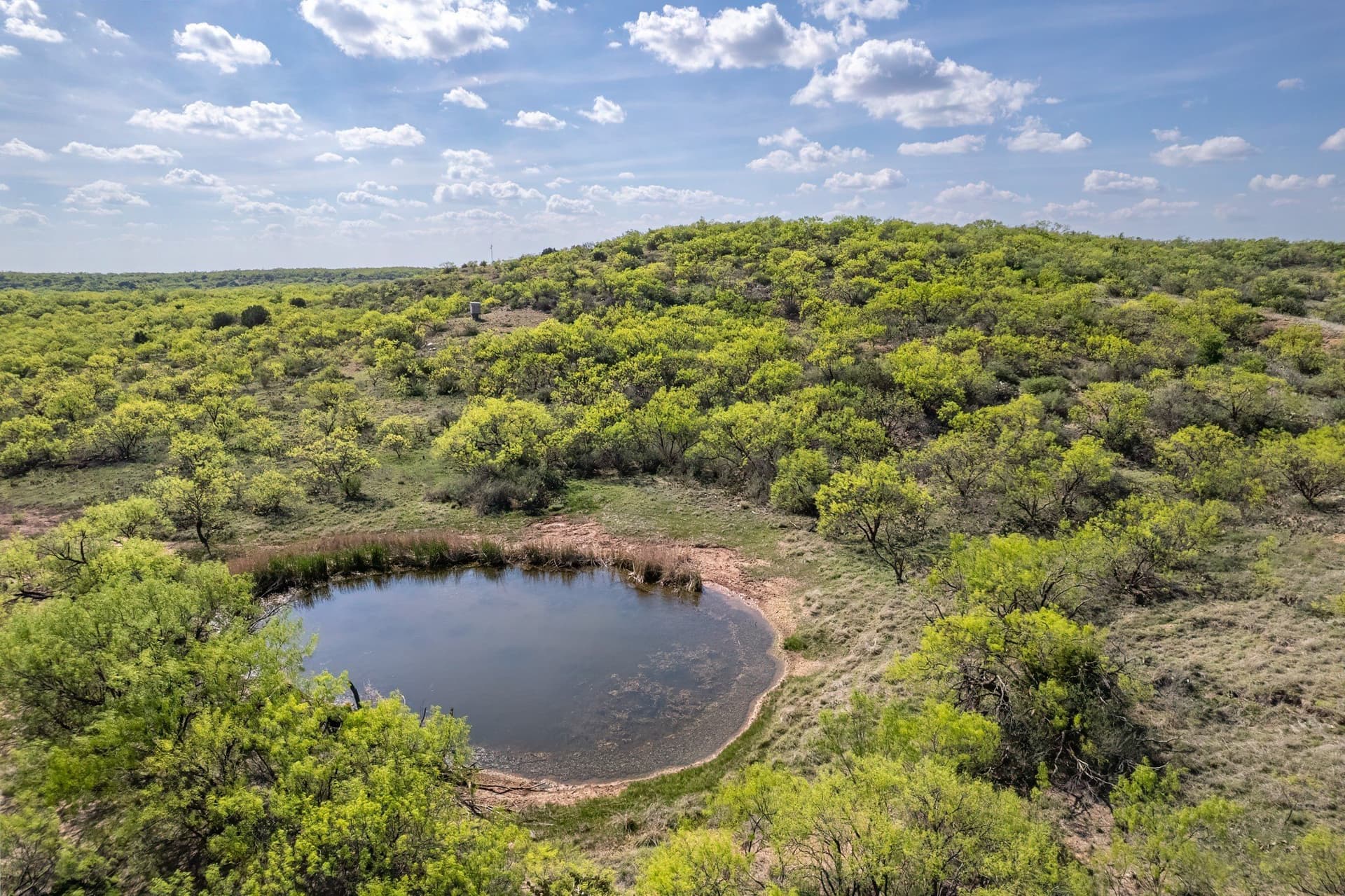 55 acres in Coleman County