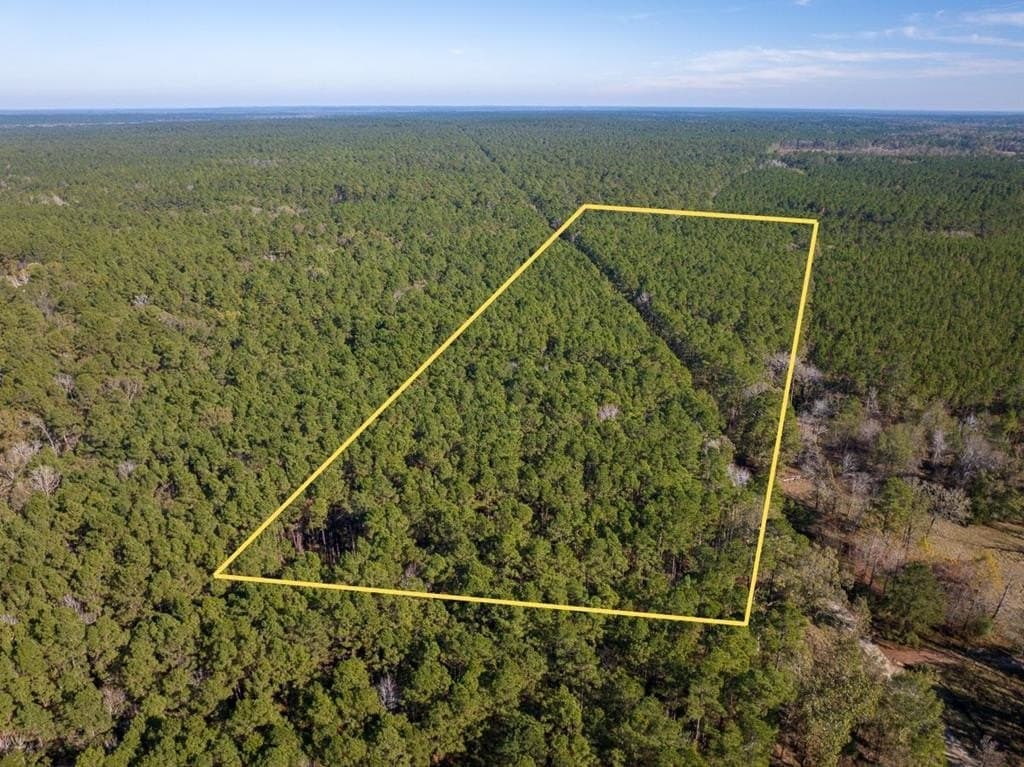 16 acres in Texas County