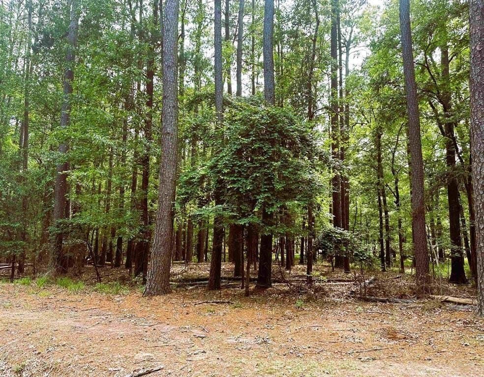 0.4 acres in Franklin (TX) County