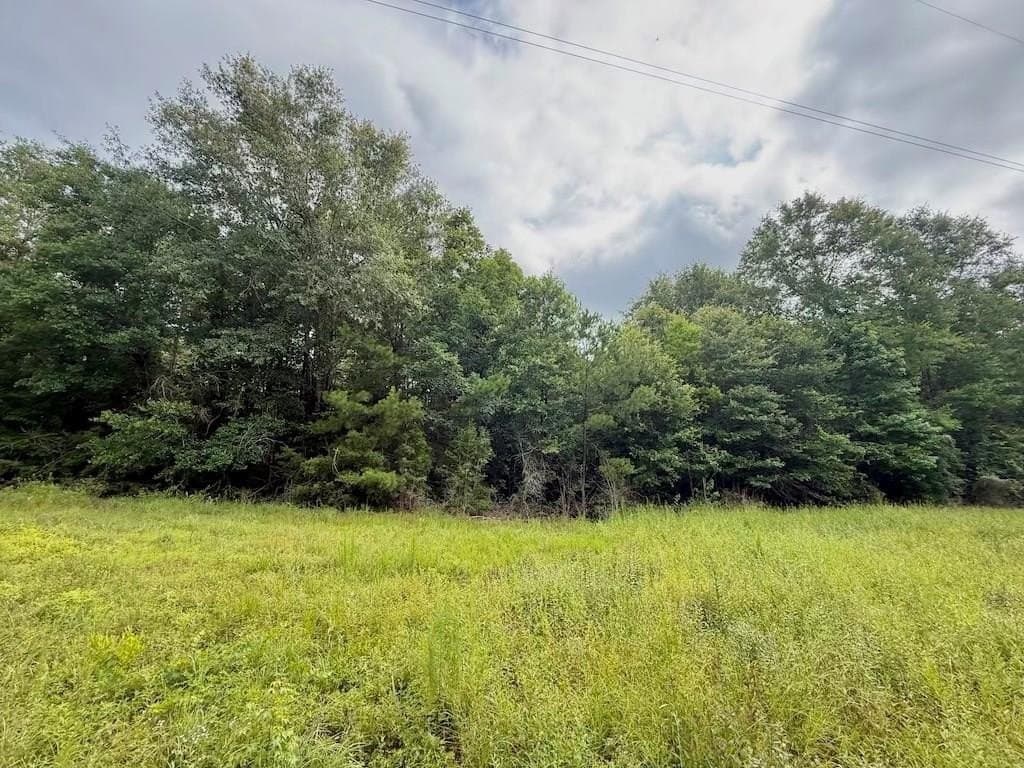 9.74 acres in Texas County