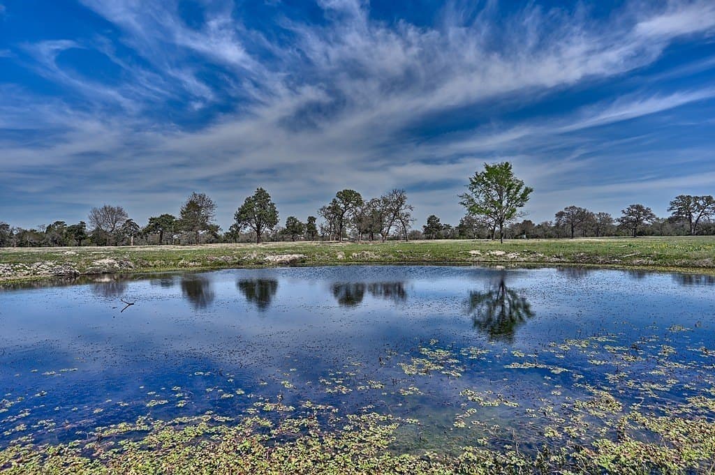 560 acres in Limestone County