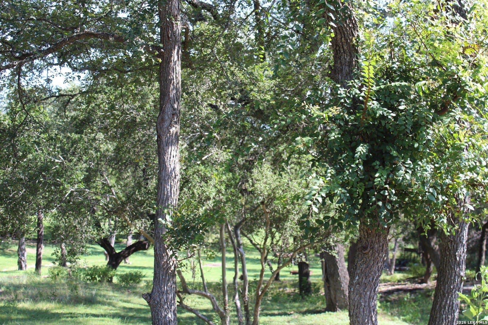 0.24 acres in Comal County
