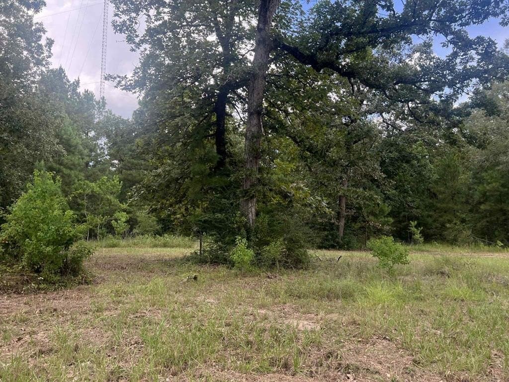 3.89 acres in Texas County